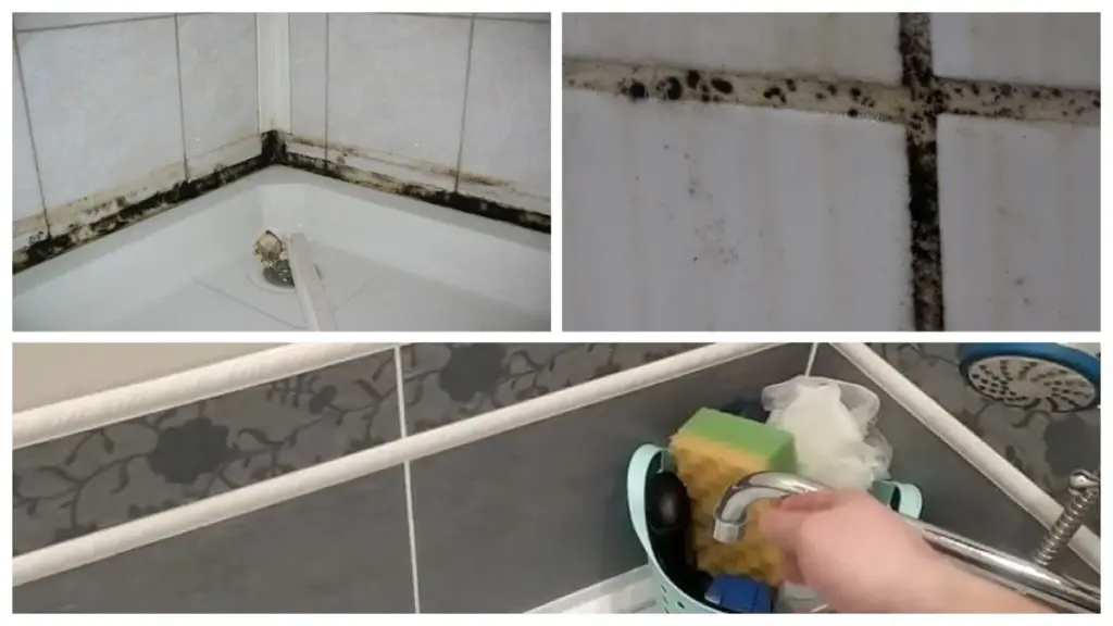 Adiós al moho negro en juntas y mamparas: la solución que los expertos no te cuentan