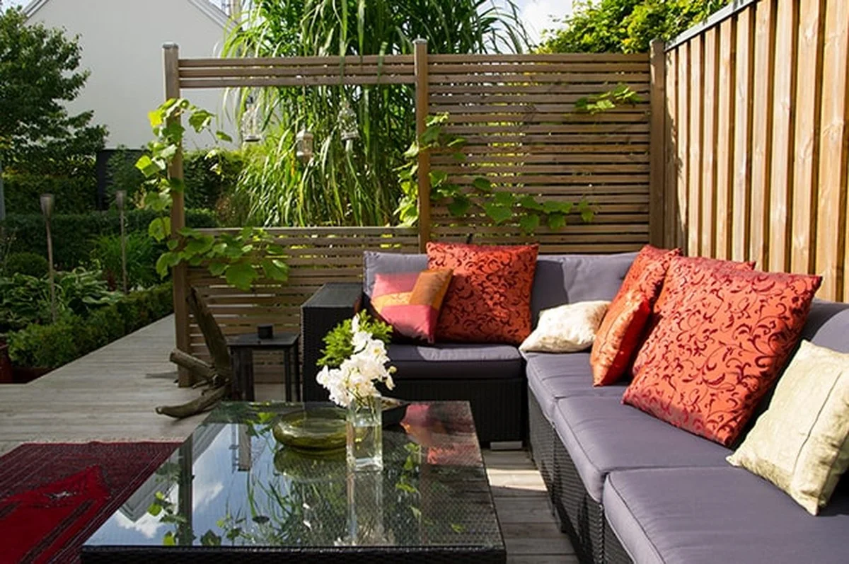 Cubre tu jardín del vecino en 48 horas: el truco infalible y 5 métodos más - image 1