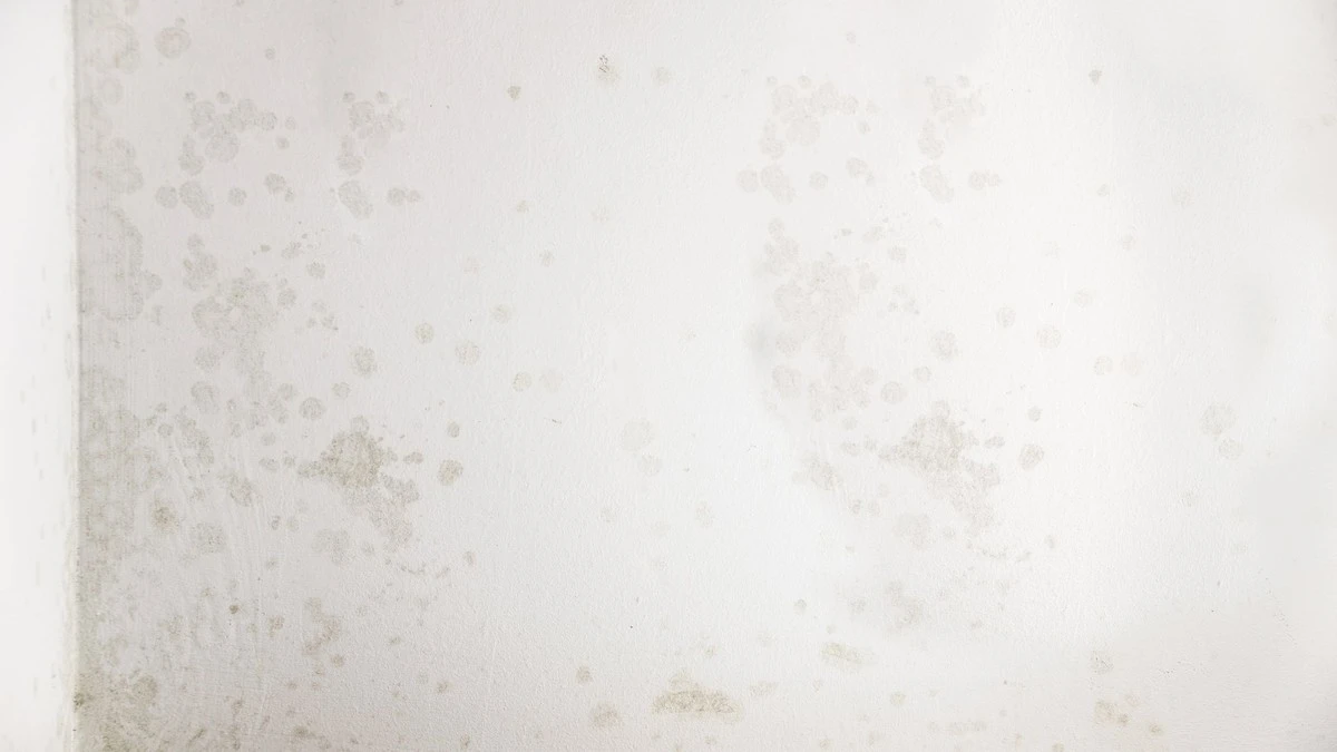 Deja de tiritar en casa: cómo los españoles detectan las zonas heladas de su hogar en 2026 (¡y cuesta casi nada!) - image 1