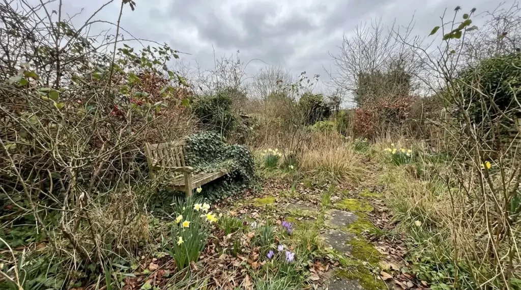 Dejé que mi jardín creciera salvaje por falta de tiempo y esto me dejó sin palabras