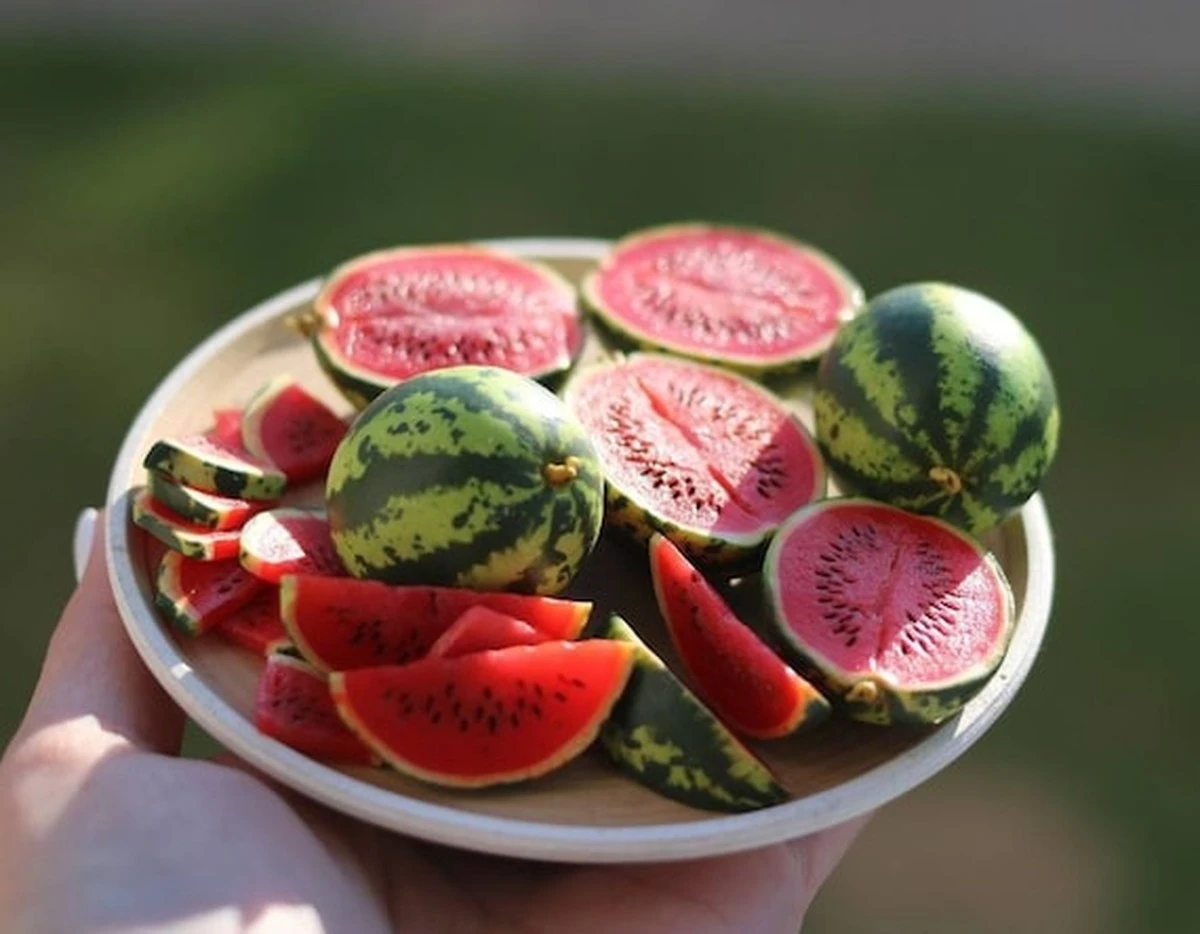 El secreto del huerto que parece sandía en miniatura: ¿por qué deberías plantarlo antes que los tomates? - image 1
