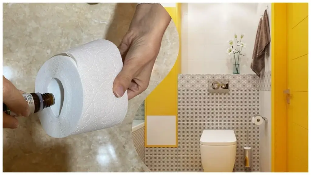 El secreto del olor a spa en tu baño: solo 5 gotas en el rollo de papel higiénico