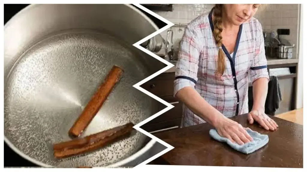 El truco de los perfumeros: cómo una rama de canela y vinagre eliminan olores de tu cocina.