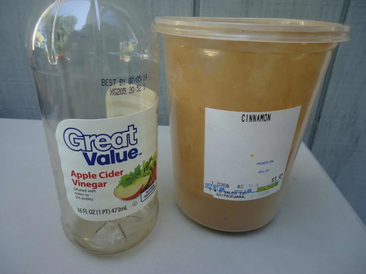 El truco de los perfumeros: cómo una rama de canela y vinagre eliminan olores de tu cocina. - image 1