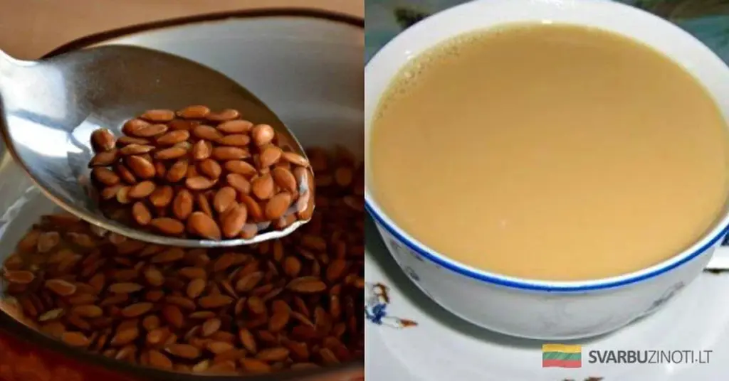 Gelatina de Linaza: La Limpieza y Rejuvenecimiento Intenso que tu Cuerpo Ha Estado Esperando