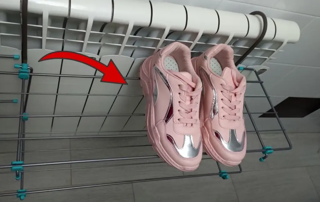 La sal en tus zapatos: el truco inesperado para eliminar el mal olor y la humedad