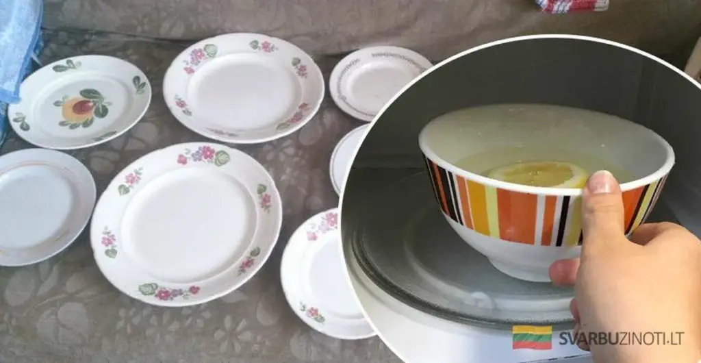 Los platos que tu microondas detesta: un error común que puede salir caro