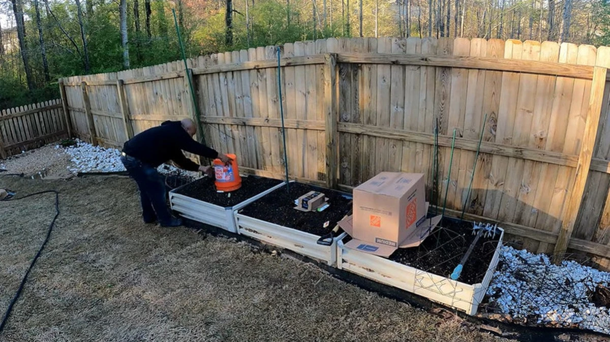 Los viejos lo hacían cada invierno: este desecho de cartón protege tus plantas del hielo y nutre la tierra - image 1