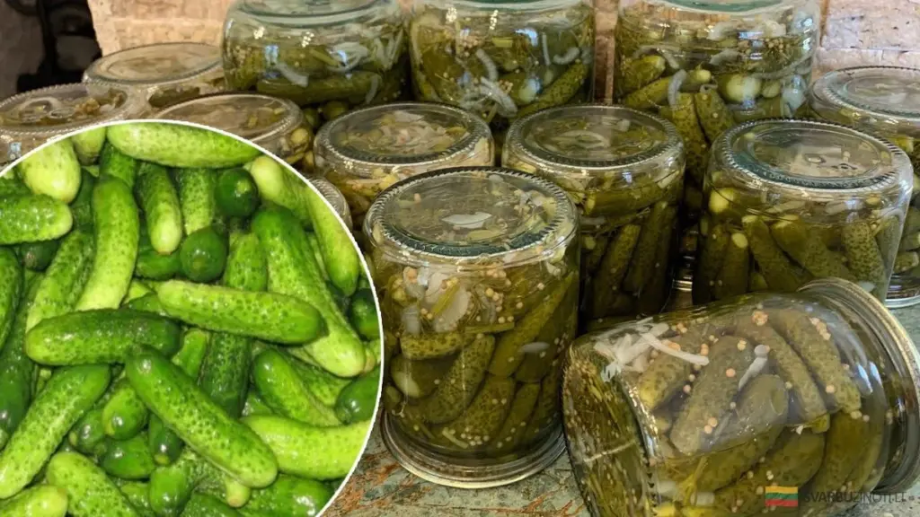 Pepinos agridulces encurtidos con mostaza para el invierno: la receta que te hará repetir