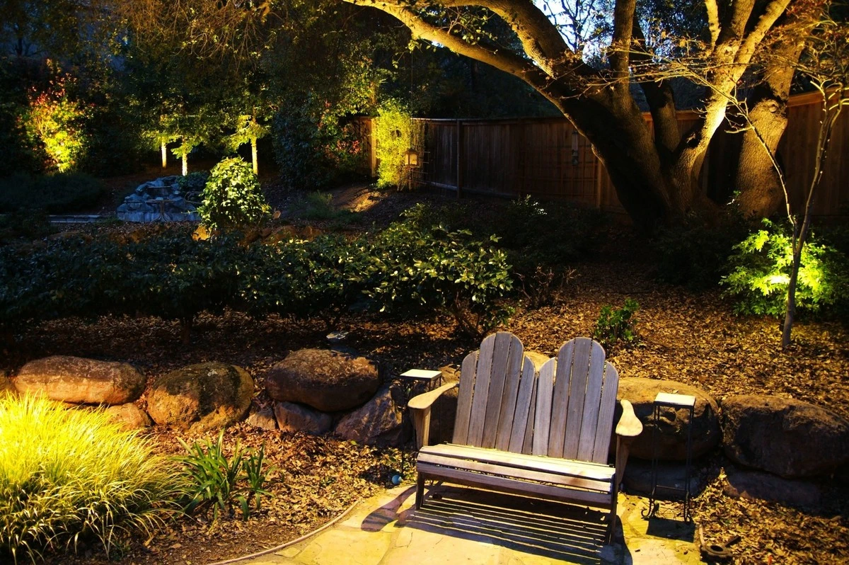 Por qué apagué todas las luces de mi jardín y me llamaron loco: la razón ecológica que nadie te cuenta - image 1