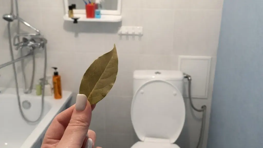 Por qué quemar una hoja de laurel en tu baño creará una aromaterapia natural
