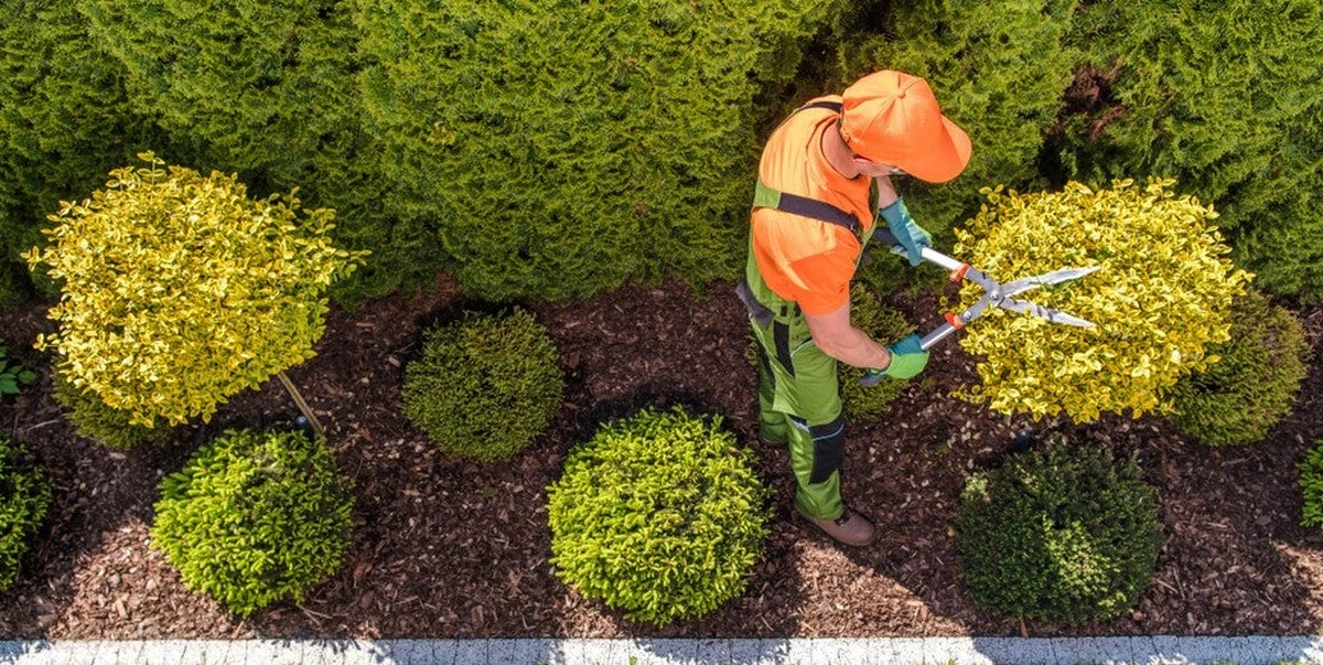 TOP 5 empresas para el cuidado de jardines en casa: tu oasis verde sin esfuerzo - image 1