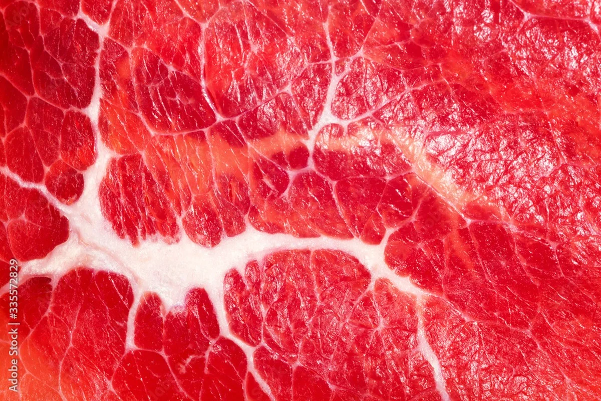 Vendedores de carne picada se ponen nerviosos cuando saco mi servilleta: la aplico a la carne y veo sus secretos - image 1