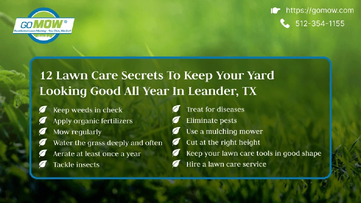 «Ya casi no corto»: jardinero revela el secreto de un césped impecable todo el año - image 1