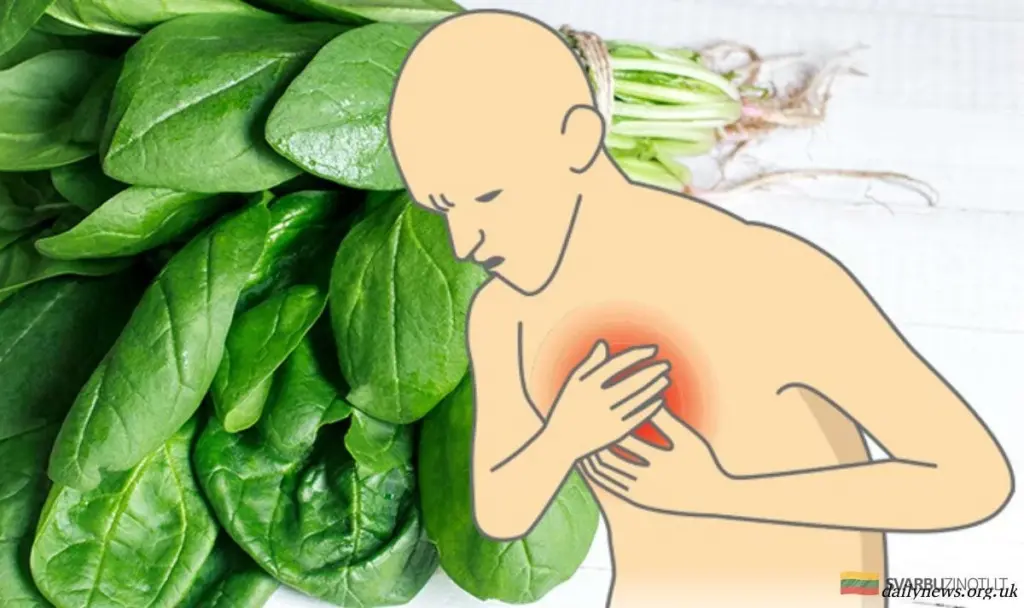 17 alimentos cargados de magnesio para blindar tu cuerpo contra el estrés y prevenir infartos