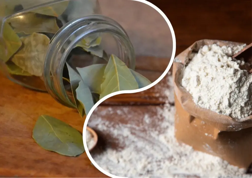 3 hojas de laurel en la harina: El truco ancestral que espanta las plagas