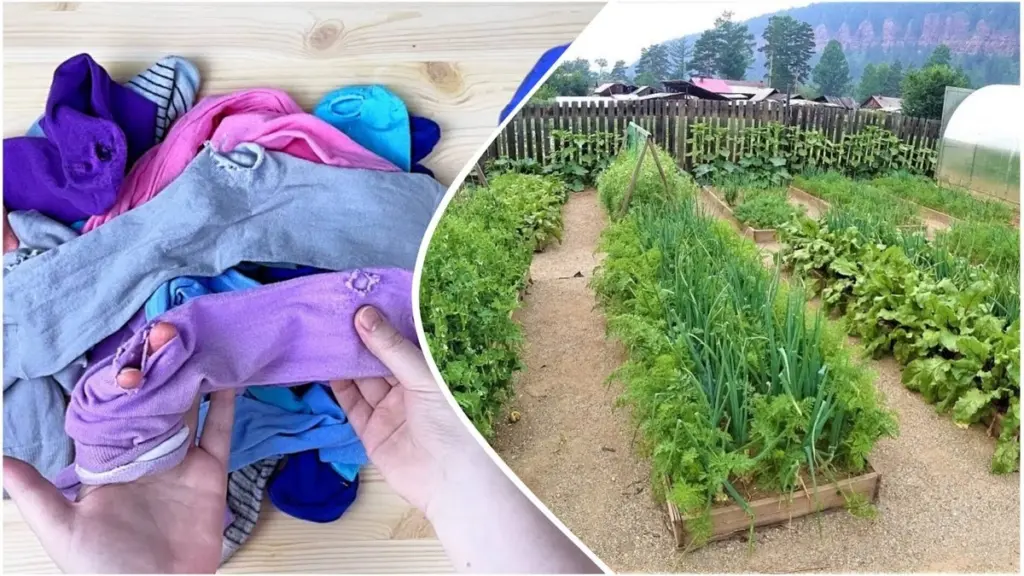 4 usos de calcetines viejos que te harán olvidar la basura