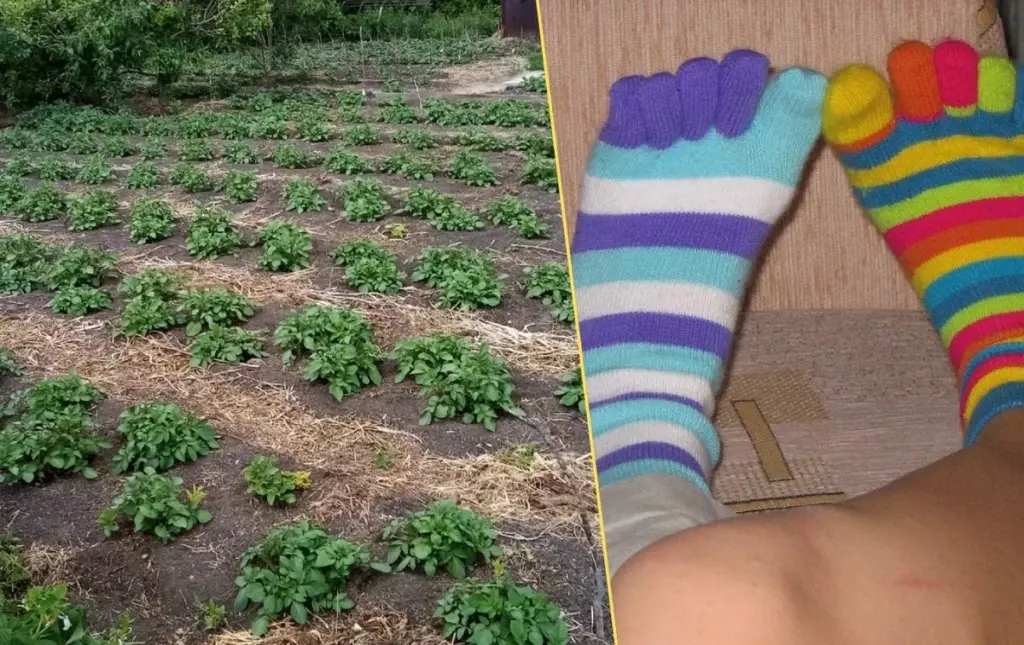 4 usos increíbles que desconocías para tus calcetines viejos (y no son para tirarlos)