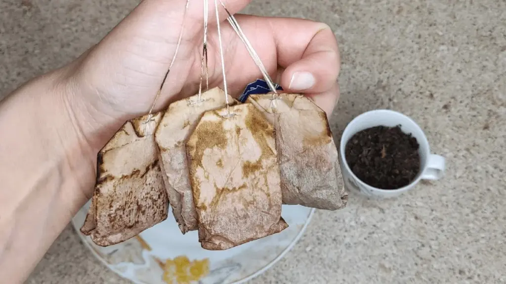 5 sorprendentes usos para las bolsitas de té usadas que transformarán tu hogar