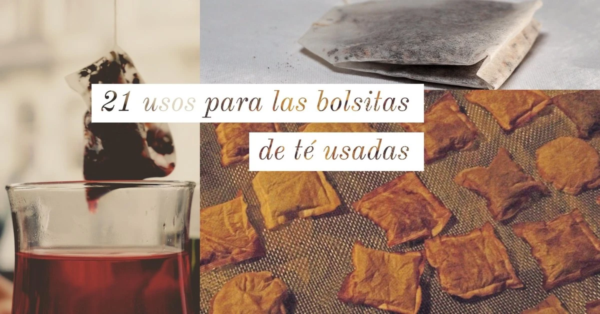 5 sorprendentes usos para las bolsitas de té usadas que transformarán tu hogar - image 1