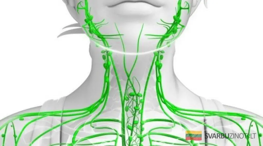 7 signos clave de que tu linfa está saturada de toxinas