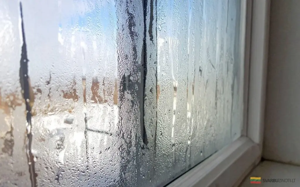 Adiós a la humedad: 5 trucos infalibles para mantener tu hogar seco