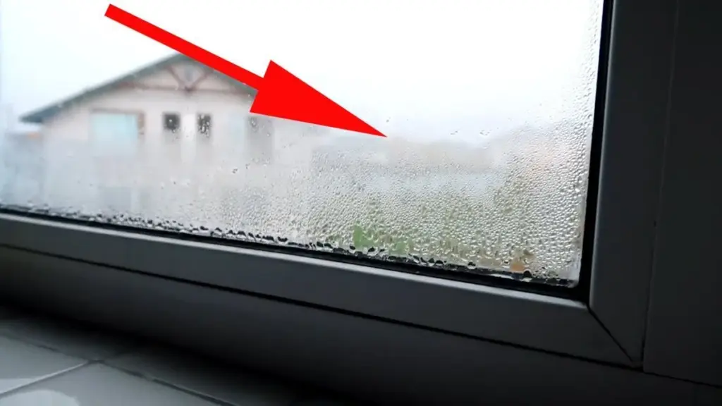 Adiós a la humedad y el moho negro: trucos “de abuela” para combatir el vaho en tus ventanas