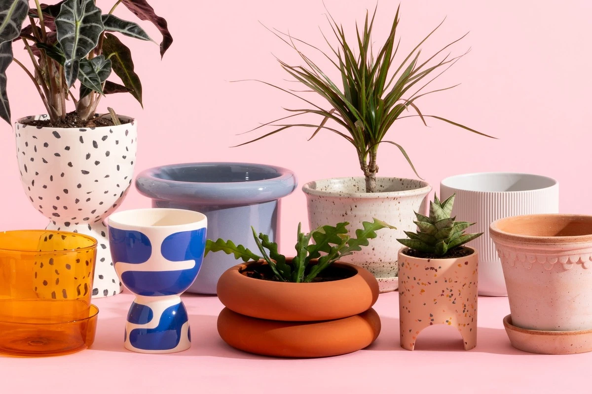 Adiós a las jardineras empapadas: mi truco secreto para raíces sanas en invierno - image 1