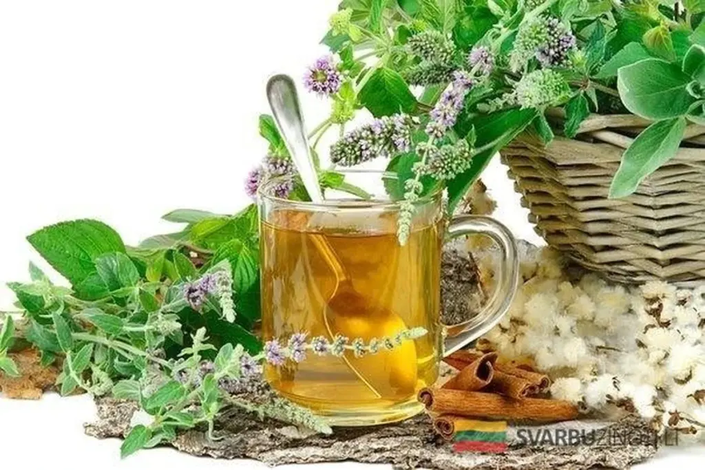 Adiós a la tos: 7 remedios caseros de la abuela que los médicos no quieren que sepas