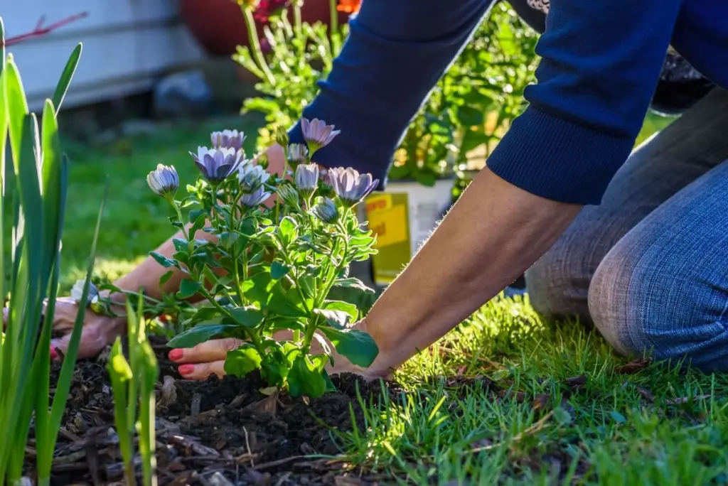 Adiós al compostaje tradicional: La técnica de abono directo al suelo que tus plantas adorarán