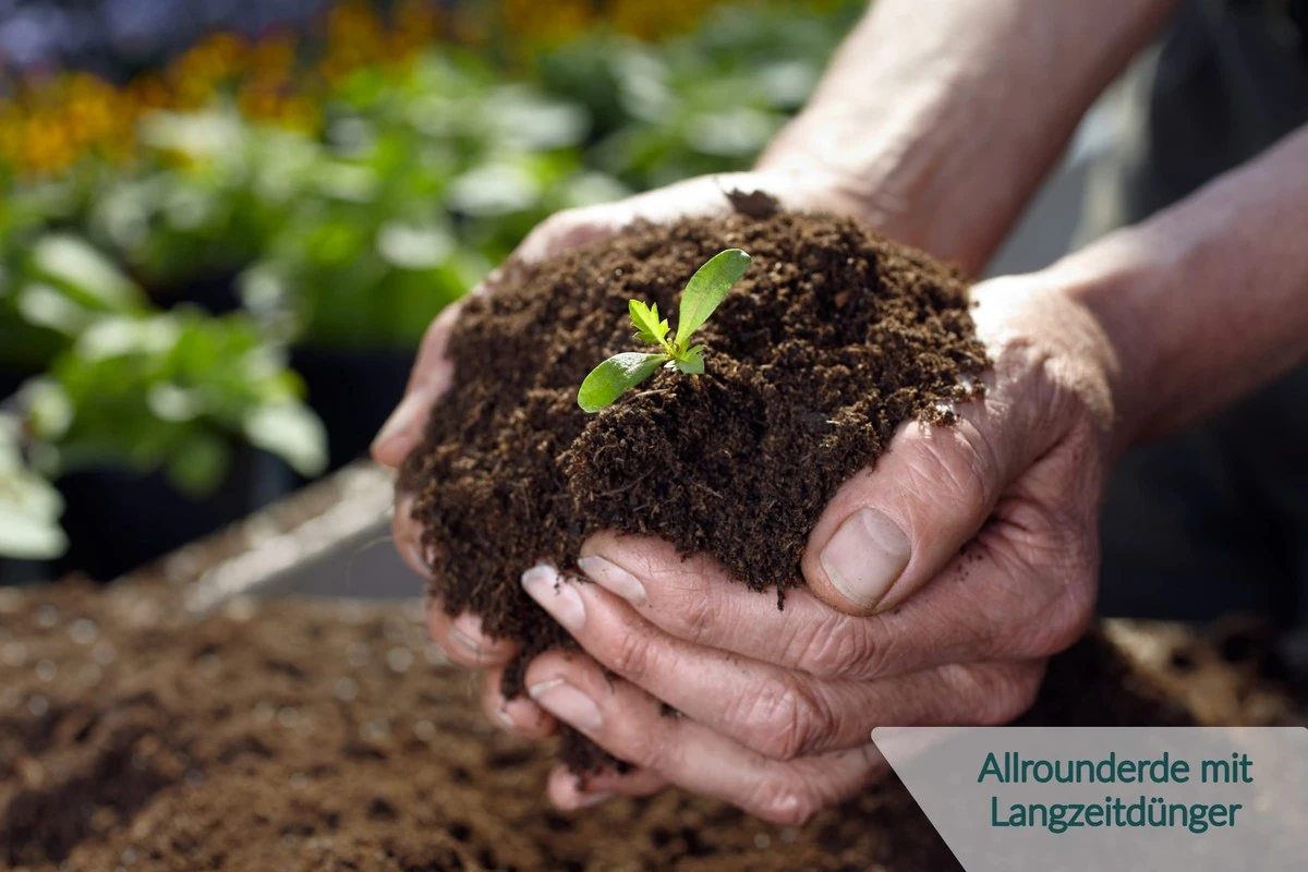 Adiós al sustrato universal: por qué las plantas te lo agradecerán - image 1