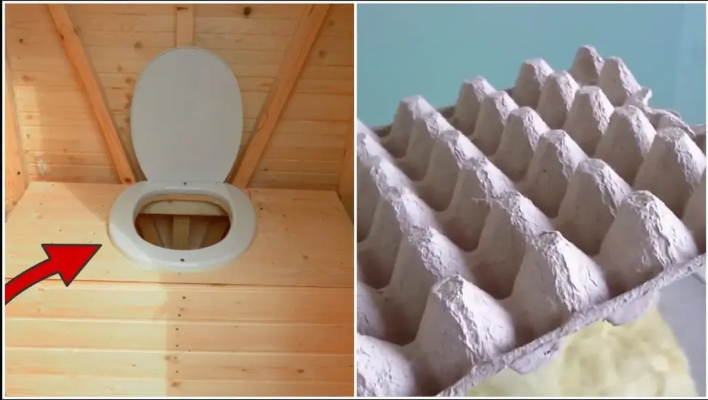 Bandejas de huevos y vinagre: el truco de 2 minutos para eliminar el mal olor en el baño de campo