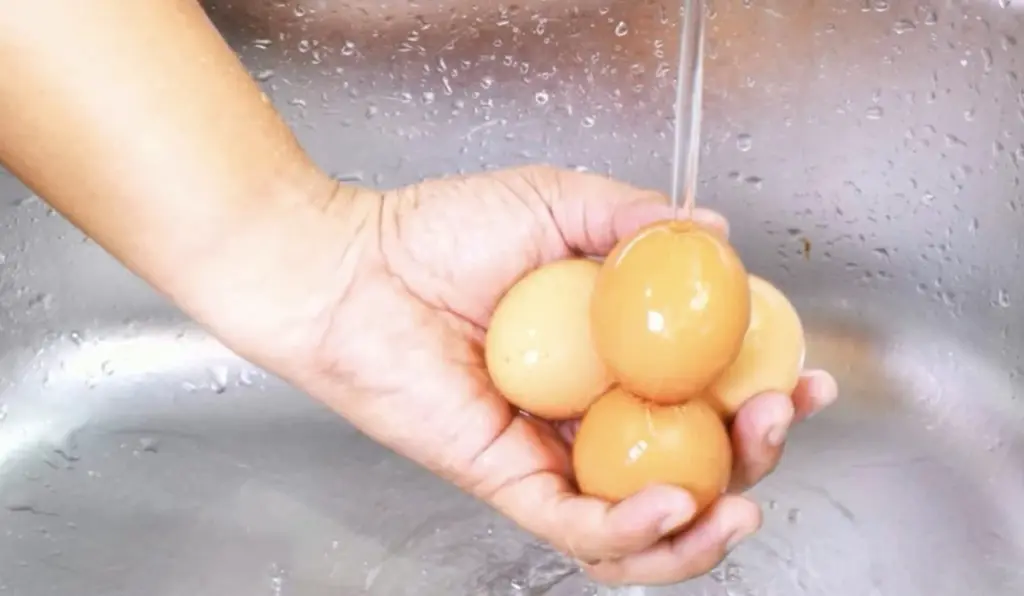 Carne y huevos: dos alimentos que no debes lavar antes de cocinar para evitar riesgos