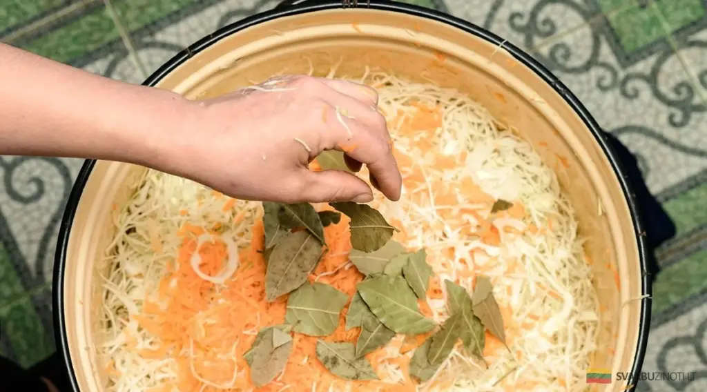 Chucrut casero: 3 errores comunes que lo arruinan (y cómo salvarlo)