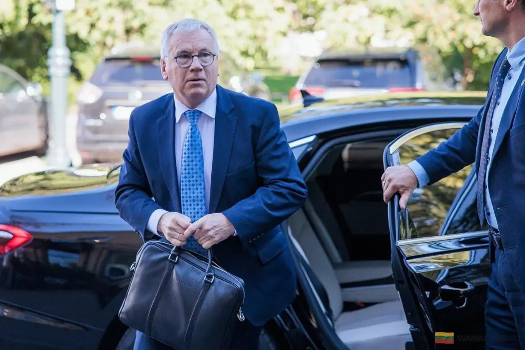 Čmilytė-Nielsen: la decisión de Ruginienė de cambiar al ministro de Finanzas decepciona