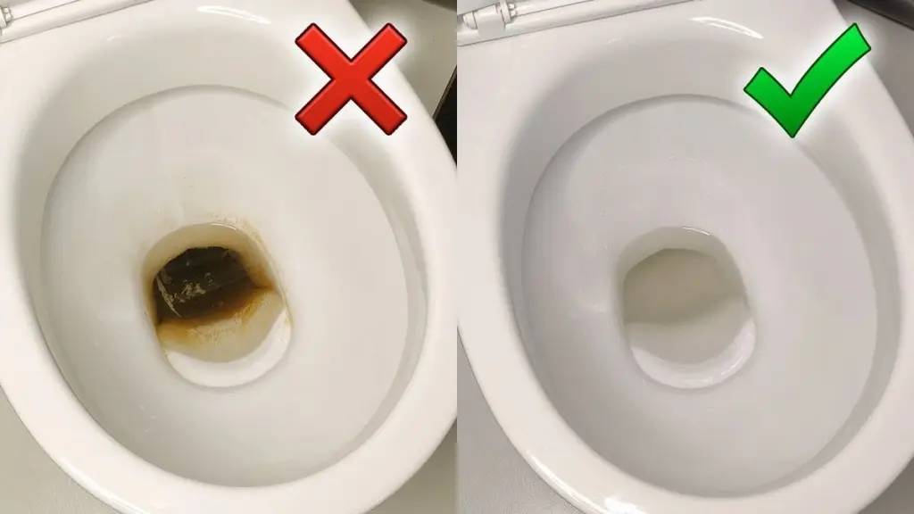 Deja actuar 60 minutos y luego aclara: el truco casero para un inodoro impecable