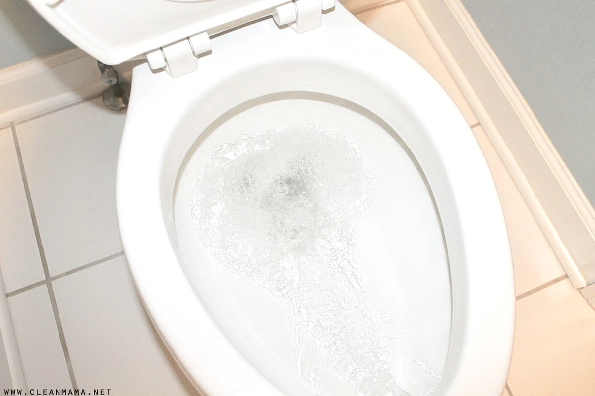 Deja actuar 60 minutos y luego aclara: el truco casero para un inodoro impecable - image 1
