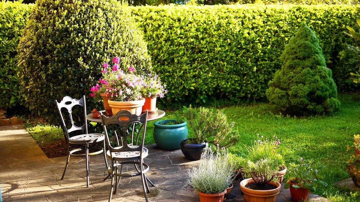 Deja de cortar el césped: la técnica secreta de los paisajistas para un jardín sin esfuerzo - image 1