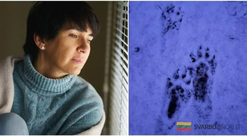 Descubren qué animal nocturno rondaba su jardín y se quedaron impactados