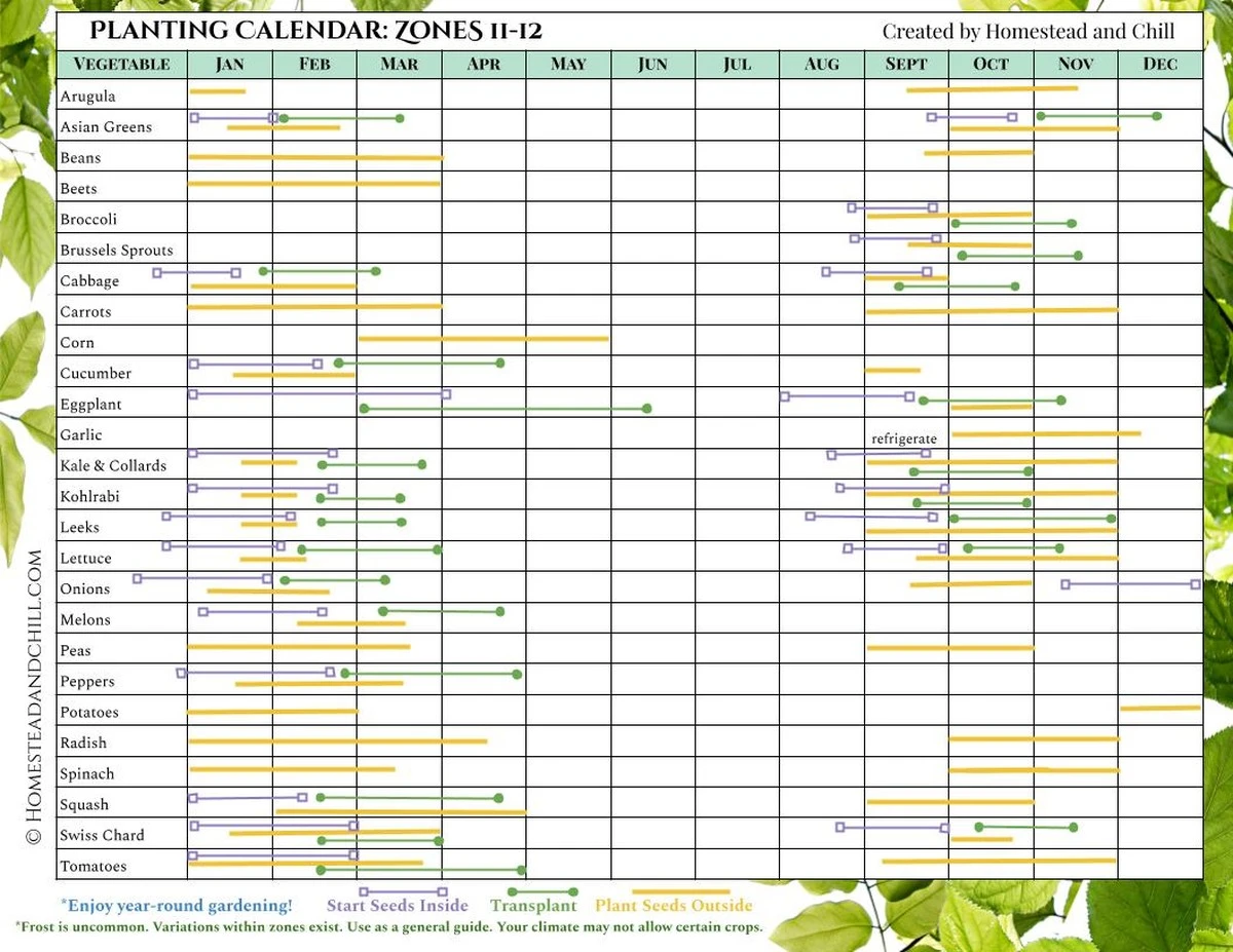 El calendario secreto de los jardineros exitosos para cosechar verduras todo el año - image 1