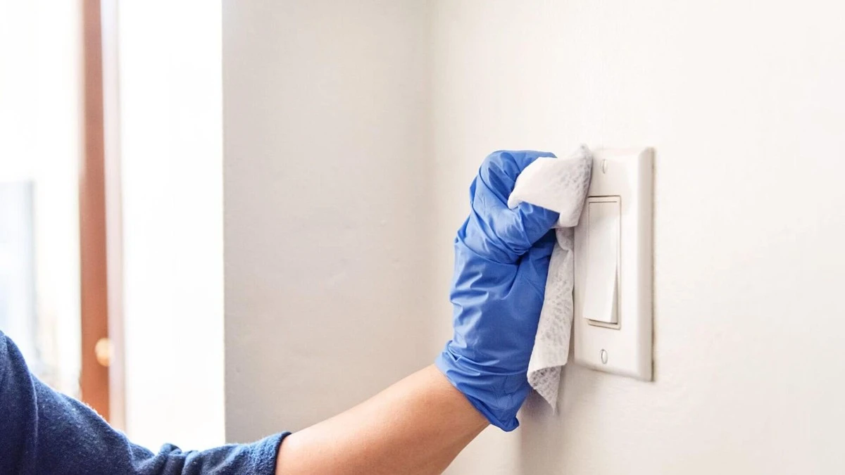 El paño húmedo en este objeto tocado 30 veces al día: lo que descubrió después de 24 horas es asqueroso - image 1