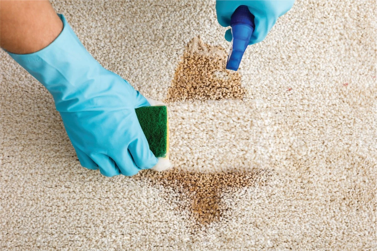 El secreto de la cocina para eliminar manchas de grasa en tu alfombra: más fácil que la lejía. - image 1