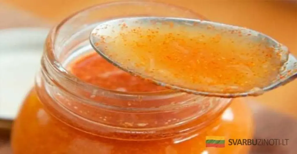 El secreto del jardín: Por qué los jardineros expertos añaden una esponja al fondo de tus macetas