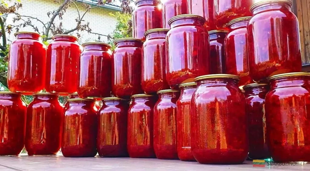 El secreto de los chefs para un borscht perfecto en 15 minutos