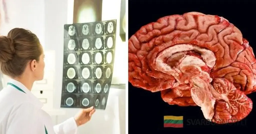 El secreto diario para detener el envejecimiento: la rutina médica que te hará lucir más joven