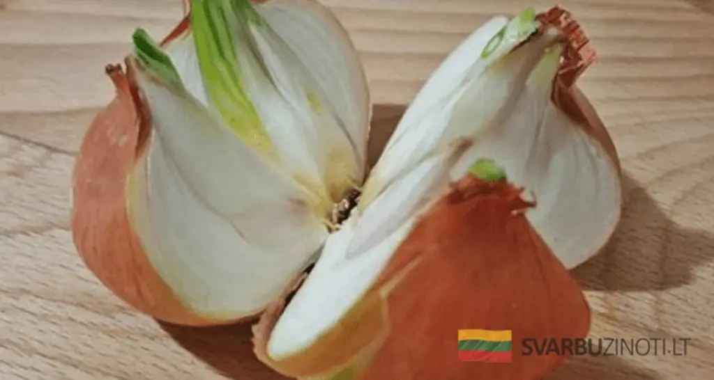 El secreto mejor guardado del ajo: colócalo en tu casa y te sorprenderá