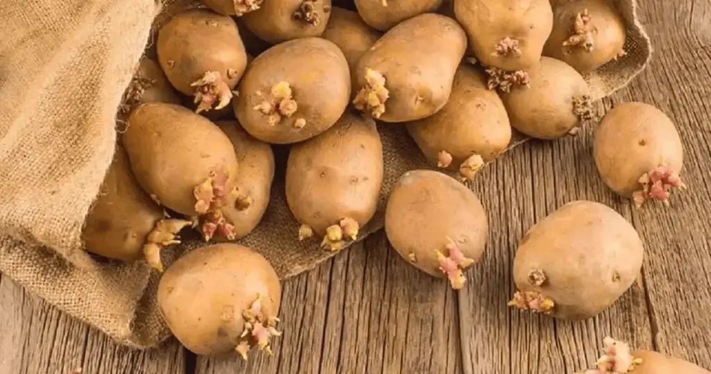 El truco de la manzana que mantiene tu patata crujiente durante meses