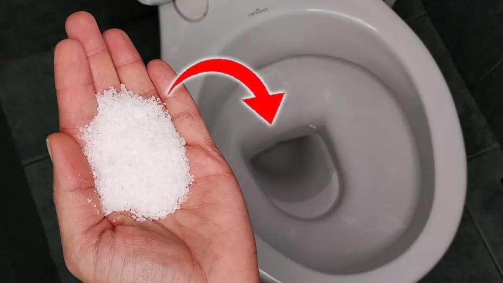 El truco de la sal en el inodoro: el secreto que tus vecinos te agradecerán (y que evita olores)