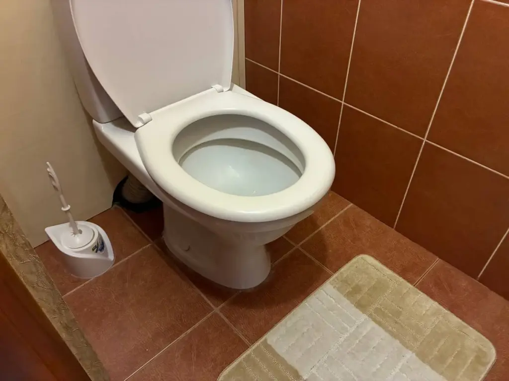 El truco infalible para un baño sin olores: ¡olvídate de los químicos por 7 años!