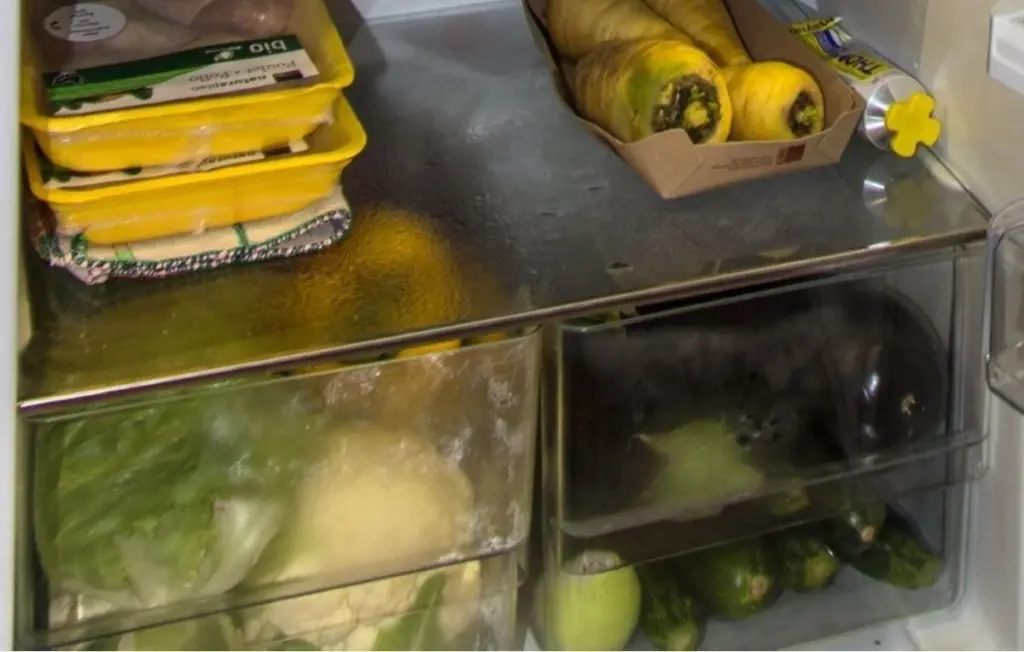 Estos alimentos arruinan su sabor y se echan a perder si los guardas en el cajón de verduras del refrigerador